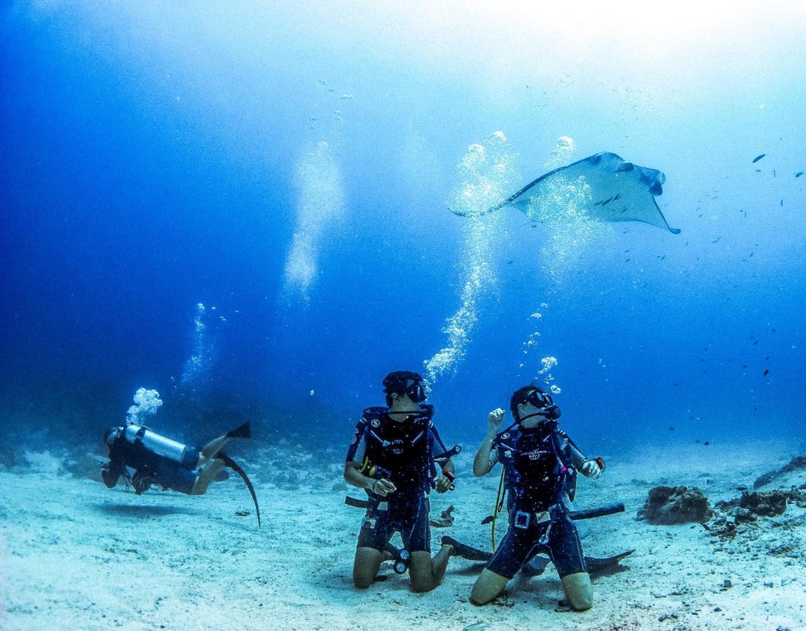 Bliss Dhigurah गेस्ट हाउस Dhigurah (Alif Dhaal Atoll)