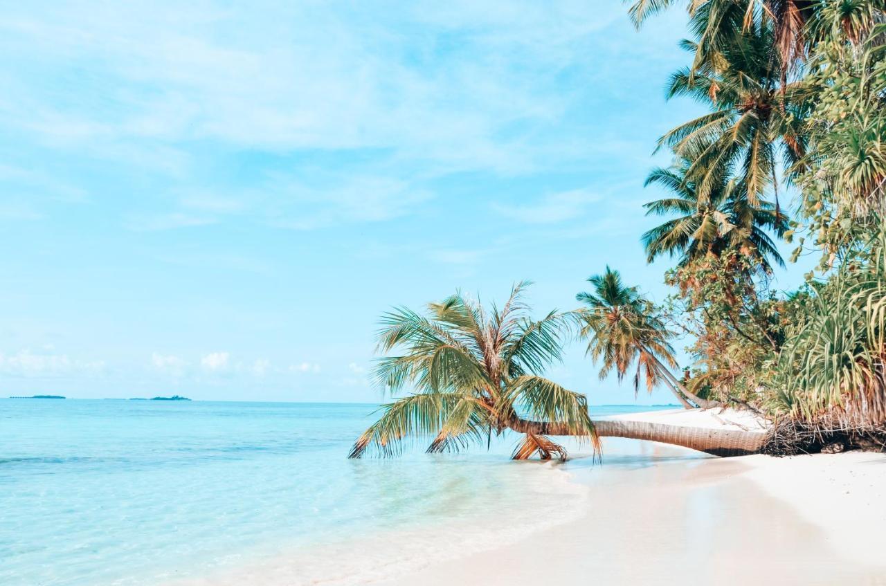 गेस्ट हाउस Bliss Dhigurah 3*